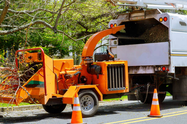 Why Choose Our Tree Removal Services in Cortland, OH?